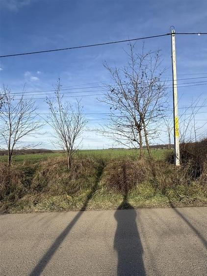 Aroneanu TEREN 14400mp intravilan cu utilitati zona construibila - 5