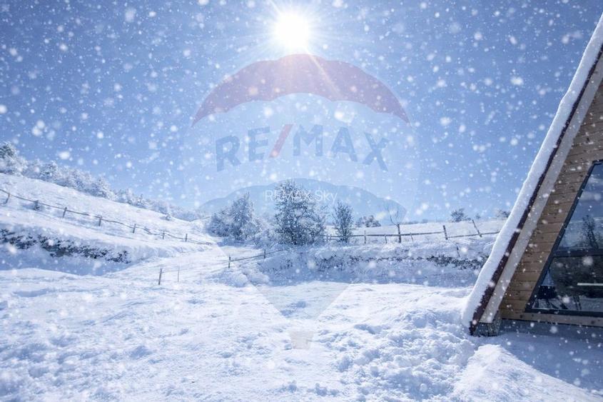 Casă de vacanță + 17.490 mp teren – zonă turistică Transapuseana - 3