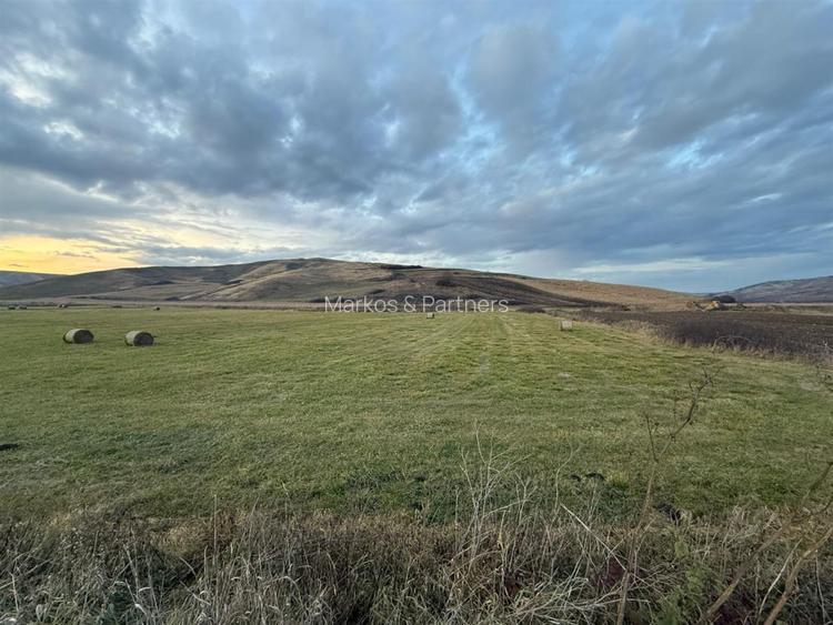 Teren Extravilan I 6000 Mp I Acces la drum | Cojocna - 8