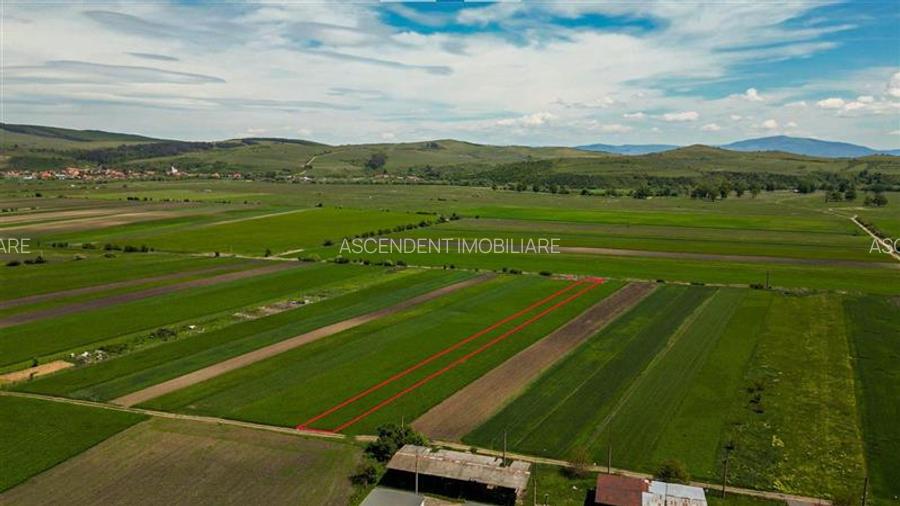 FILM! Teren extravilan 5.000 mp in zona linistita cu acces facil, Bod, Brasov. - 11