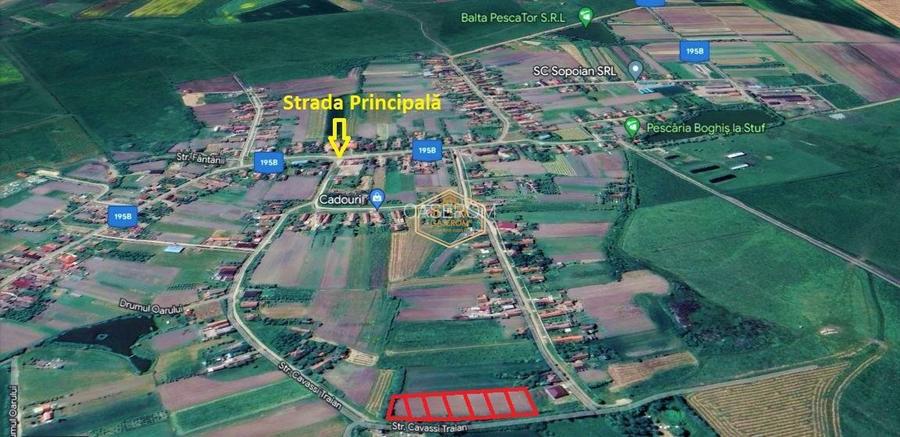 Teren intravilan 750 mp | Plata in 12 rate | Aproape de Satu Mare - 6