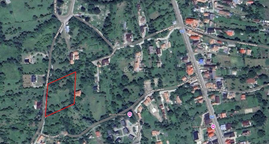 Teren superb Valea Doftanei (Teșila) – vedere panoramică, toate utilitățile - 6