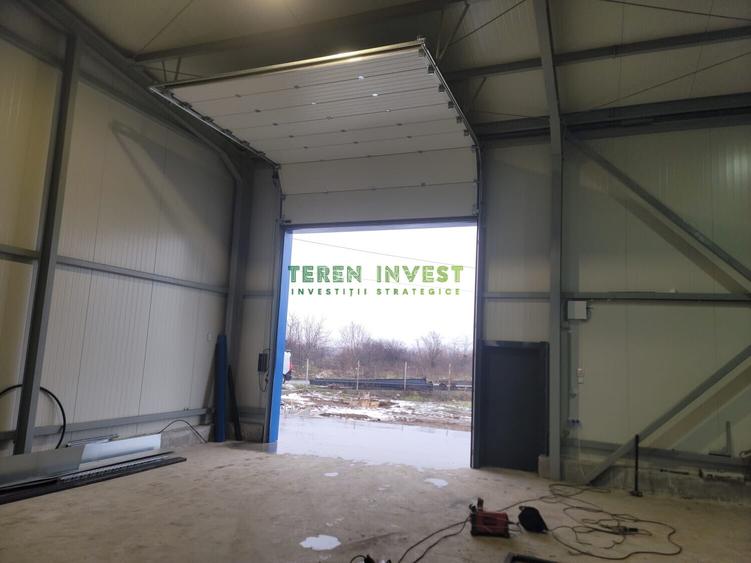 Hala depozitare -  Drumul Între Tarlale - 7