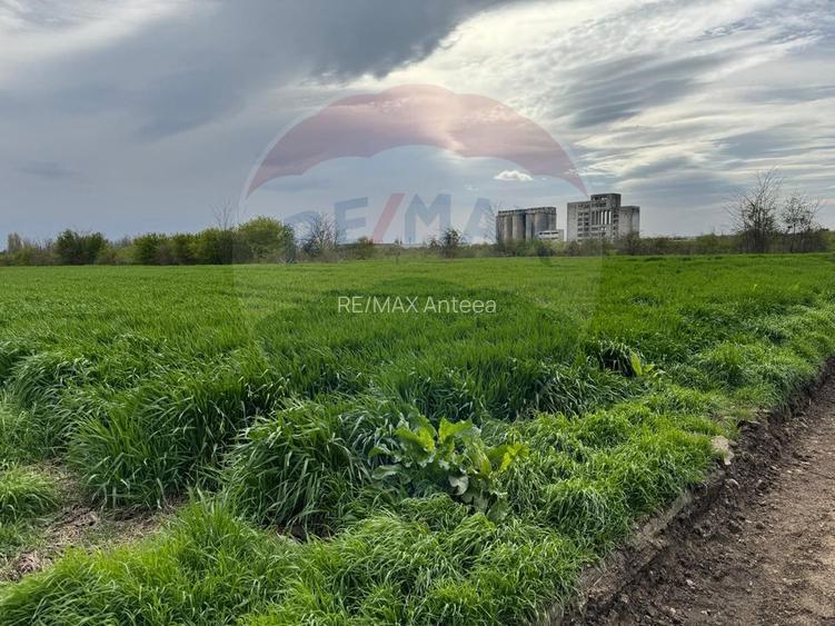 Teren cu PUZ aprobat –  Destinație logistică, industrială și servicii - 8