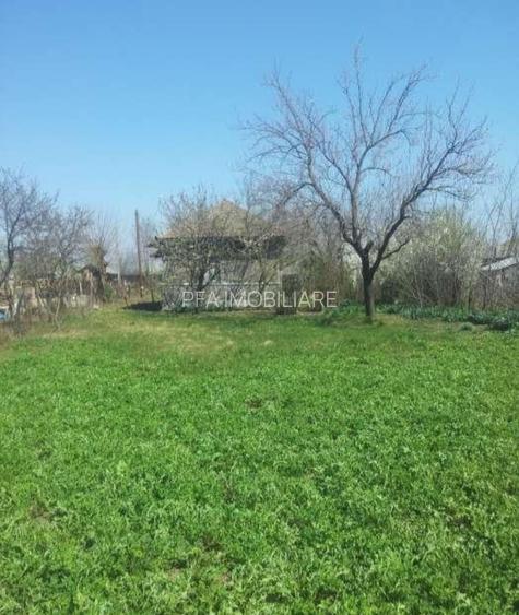 Casa și  teren de vânzare Luica jud Călărași - 3