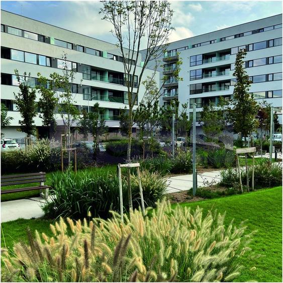 VANZARE 3 CAMERE | BALCON | STRAULESTI | PISCINA PRIVATA A COMPLEXULUI - 5