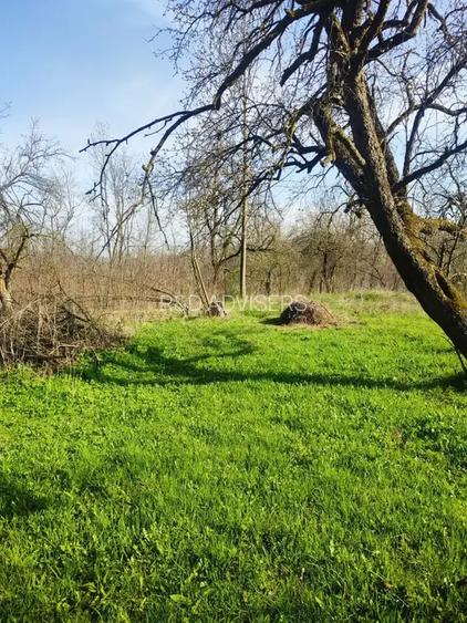 TEREN DE VANZARE -PROVITA DE JOS - 2