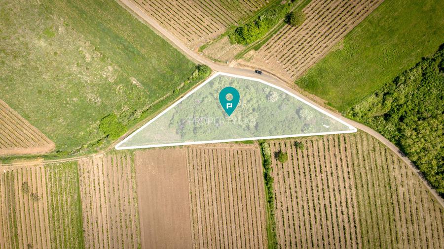 Teren extravilan - 3654 mp Dealul Șiriei - 2