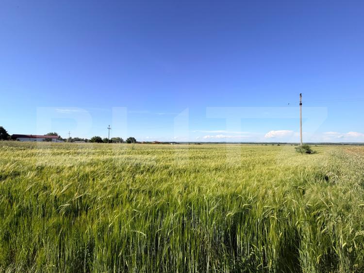 Teren parțial intravilan de vânzare – 9.550 mp, Comuna Podari, Sat Gura Văii