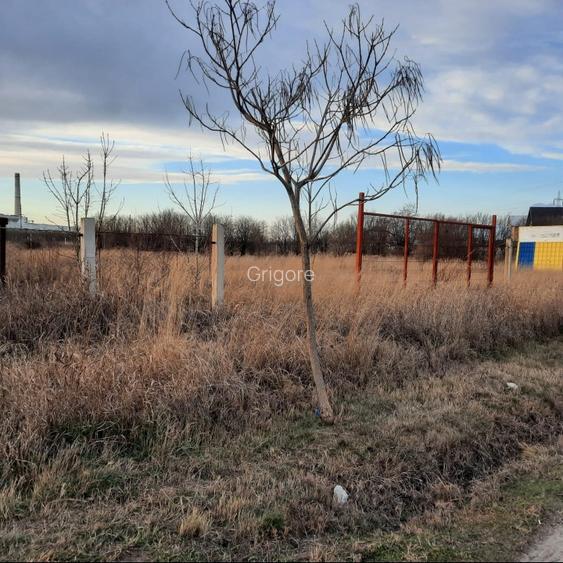 Teren intravilan Ișalnița 2200 mp, 2 intrări, utilități, 75€/mp - 4