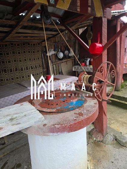 Proprietate cu două case| Comuna Fartatesti - 15