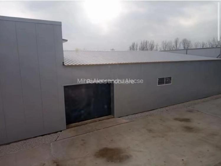 Închiriez, vand  hale industriale si spatii comerciale Bolintin Vale  - 9