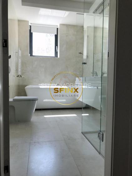 Kiseleff, 3 room ground floor apartment with garden and access to roof pool - 6