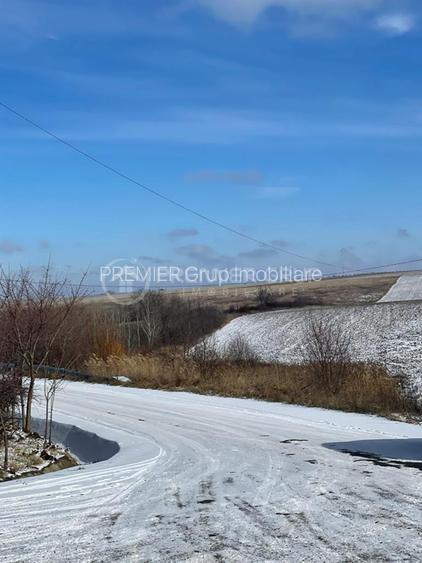 Teren  extravilan 10.800mp, Horlești, utilități disponibile - 2