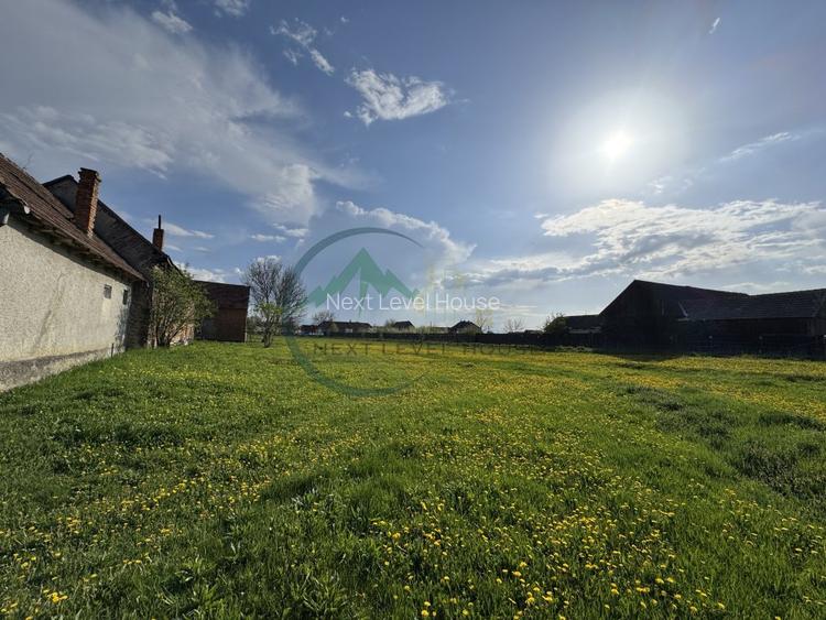 Teren 9500 mp plus Casa plus Anexe Gospodaresti - 4