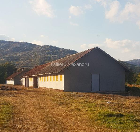 Vand teren  500 m p , 1000 mp  , 17500 mp intravilan , negociabil. - 5