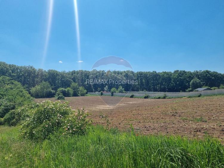 Teren 872,43 mp Snagov - 7