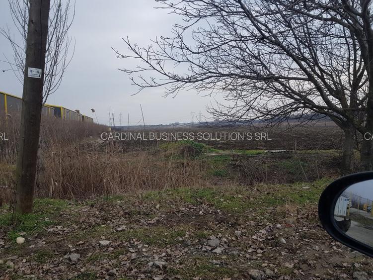 Glina, str. Morii, teren intravilan 10000 mp - 3