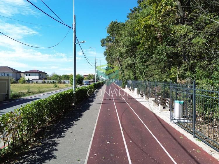 Teren - Voluntari - vis a vis de Padure - 10.000 mp - 4