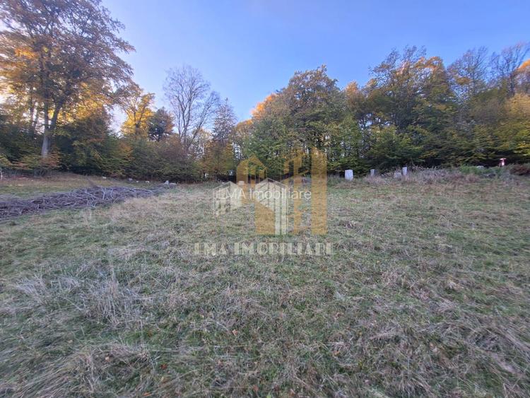 Teren de vanzare 2900 mp Brasov Strada Ciresului - 6