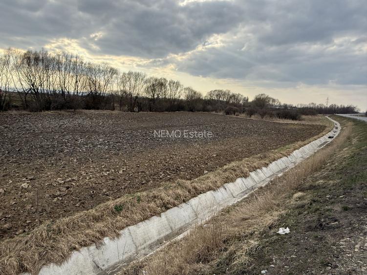 Teren extravilan | Rădăuți | 36 ARI - 6