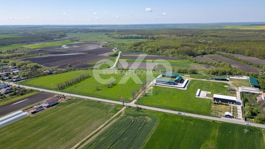 Black Angus Farm with authorized Slaughterhouse - 6