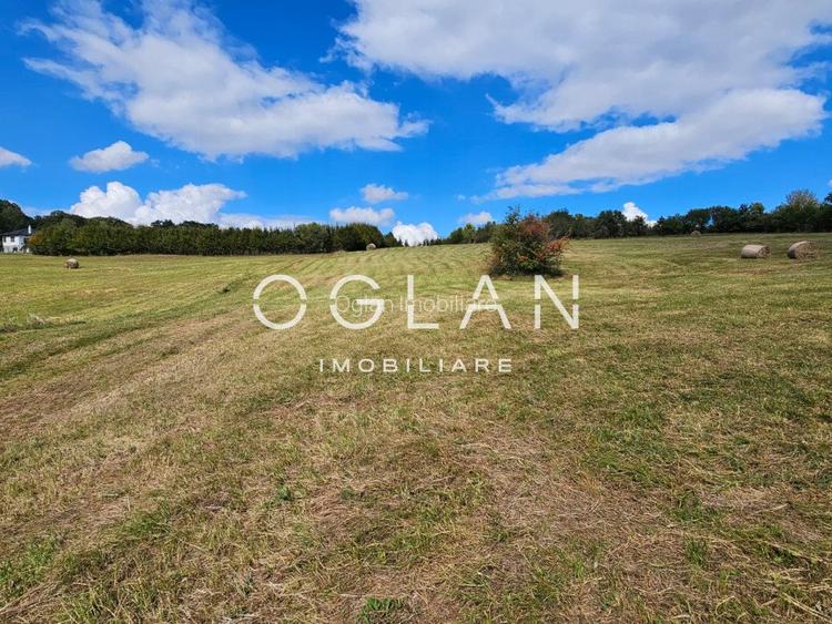 Teren Tocile (parcelabil) 3500 mp  - 7