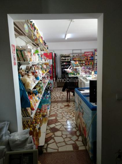 Spatiu Comercial 100 mp Triaj - 9