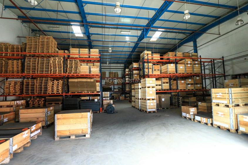 Hala Depozitare/Productie Pantelimon-Complet Inchiriata - 10