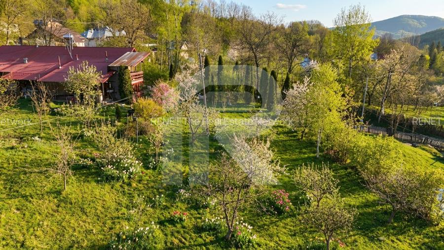 Teren intravilan Slanic Prahova - 6