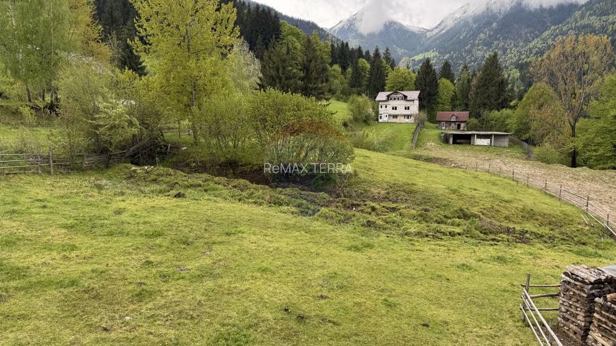 BORSA jud MARAMURES TEREN INTRAVILAN pentru CABANA - 9