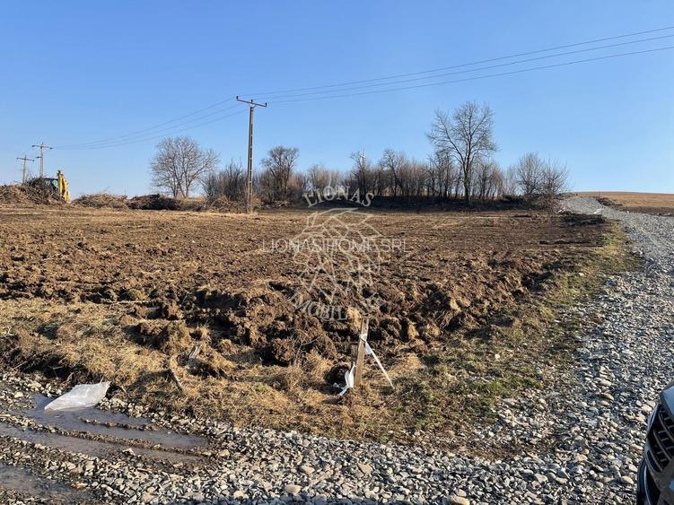 Parcele de 1000 mp-panoramic-ideal investitie-Sigmir - 3