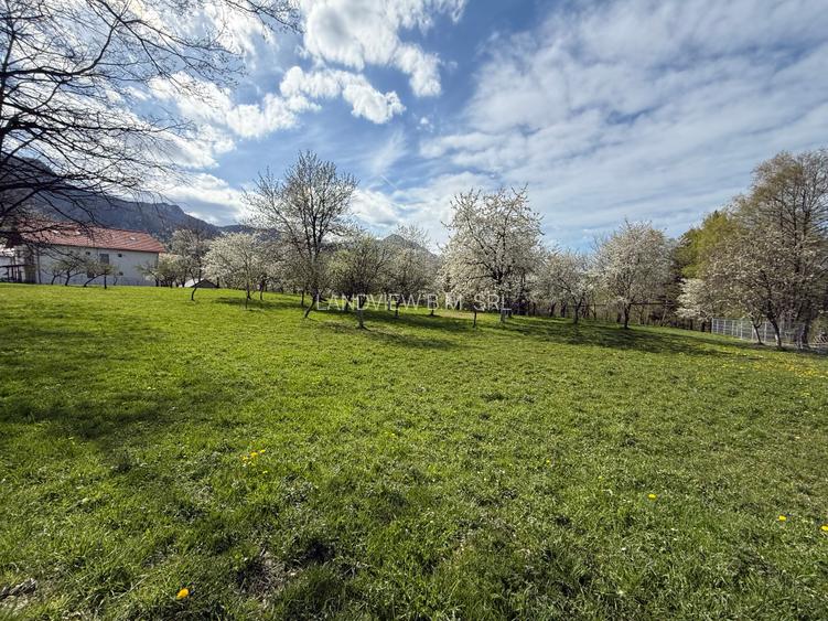 Teren intravilan 763 mp in zona Bran-Tohanita,judetul Brasov - 11