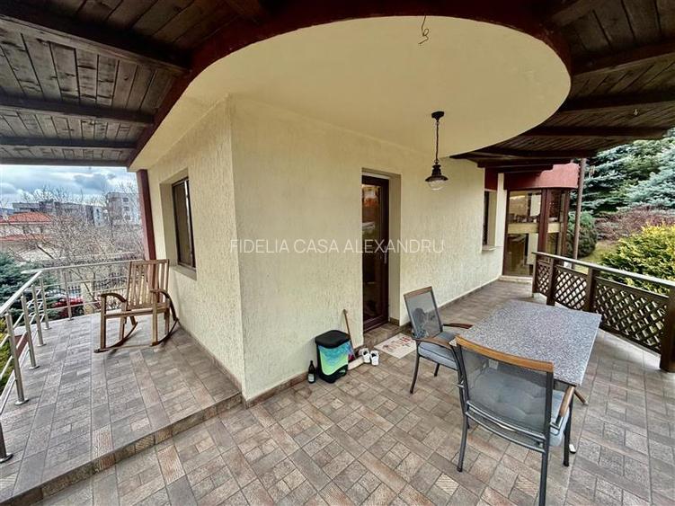 Casa vile de vânzare Buciuim-iasi - 32