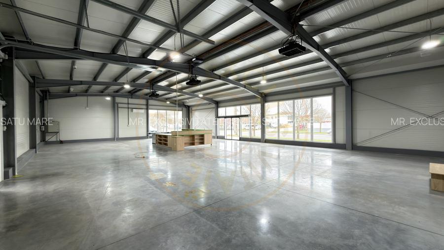 Spațiu Comercial Open Space 296 mp / B-dul 25 Octombrie / Carei - 13