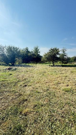 OCOLIS casa batraneasca cu sura si 14 ari teren! - 3