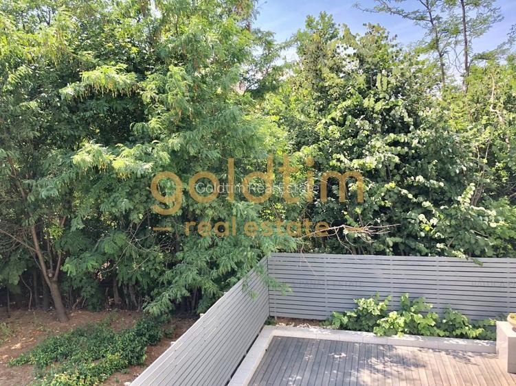 SUPERB/LUMINOS/IANCU NICULAE/TERASA GENEROASA/LINISTE - 13