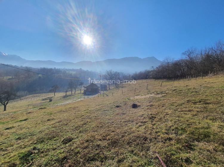 Teren rezidential zona Bran Tohanita zona de case - 2