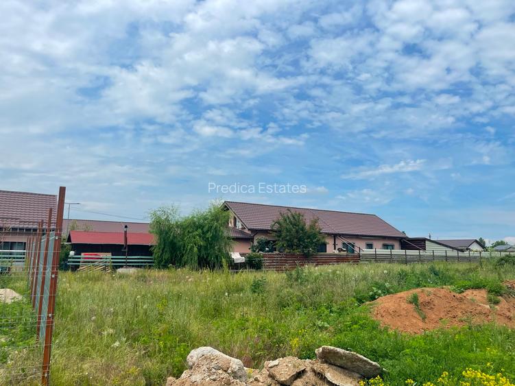 Teren - Dumbrăveni, Balotești - 8