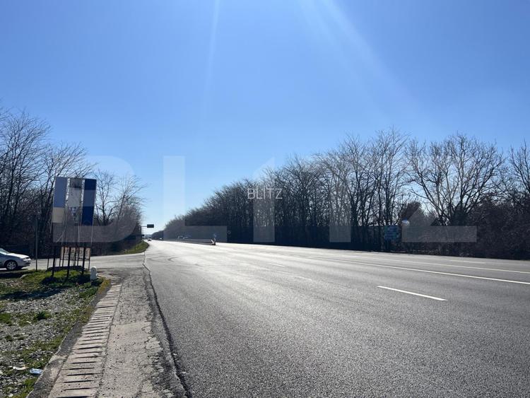 Teren intravilan 12.500 mp, zona Profi Logistic Isalnita - 4