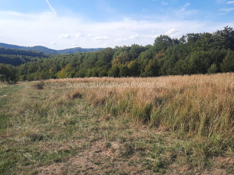 FARA COMISIOANE TEREN parcelabil 10756mp linga padure Comuna Dumbravita Brasov - 3