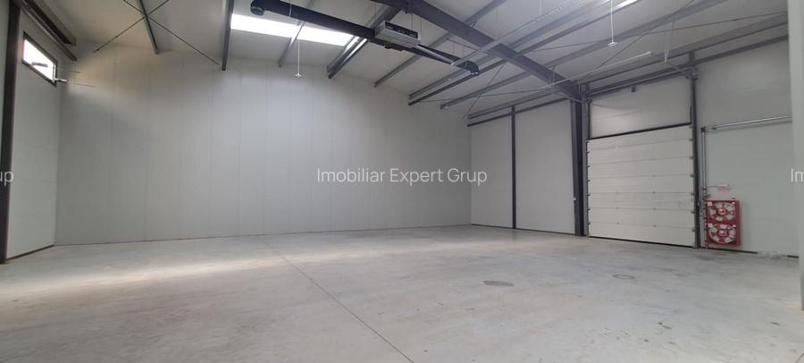 Spatiu de depozitare si productie Mogosoaia - 20