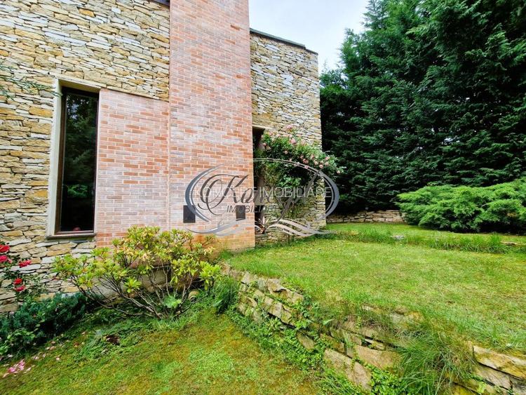 Casa deosebita in Faget - 3