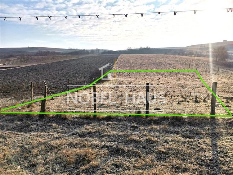 Teren intravilan 1041 mp, Grivita, pentru constructii - 2