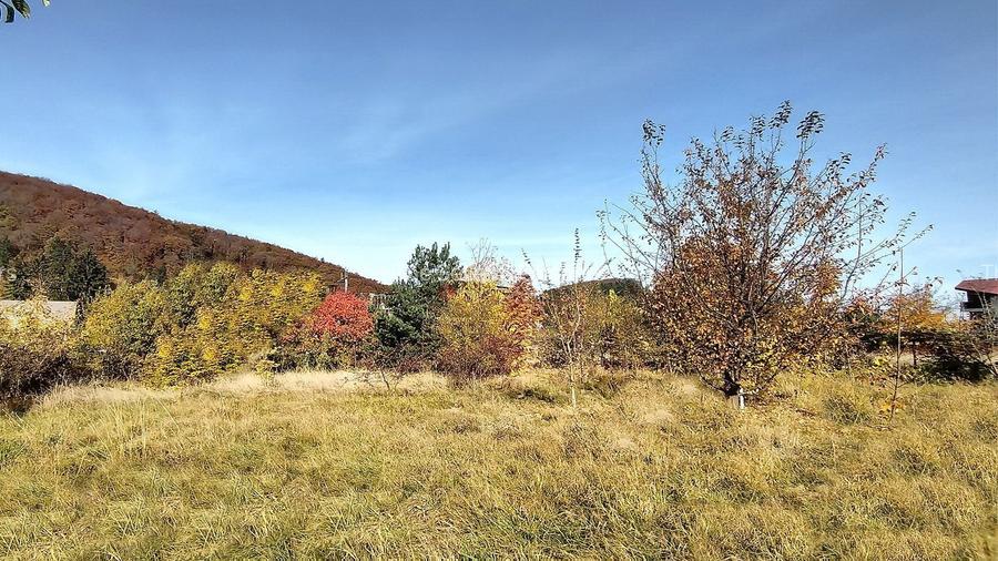 Teren Intravilan Bunloc - 6