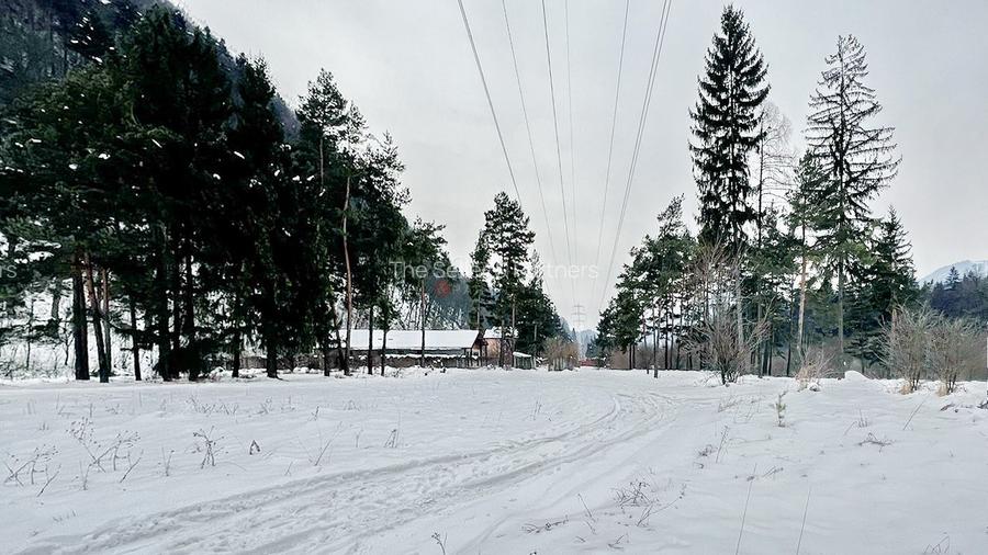 Teren intravilan - Sacele - Brasov - 6