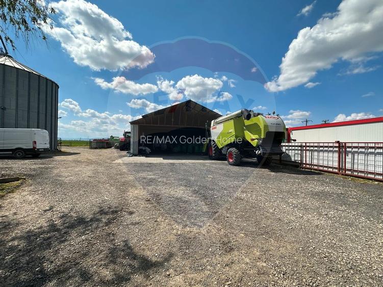 Ferma porcine la cheie - 24