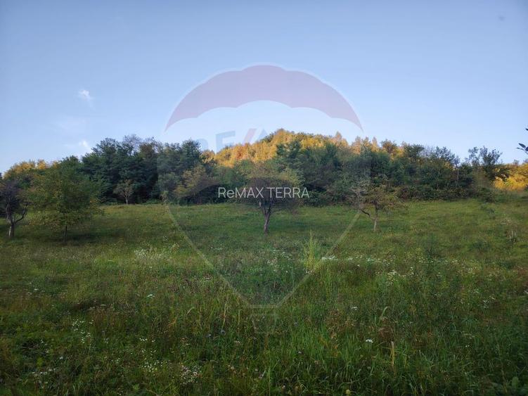 Comision 0! Teren intravilan 2.339 mp Barsana – oferta rara - 4