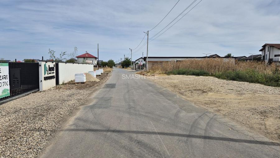 Teren intravilan 16.248 mp - Domnesti - 2