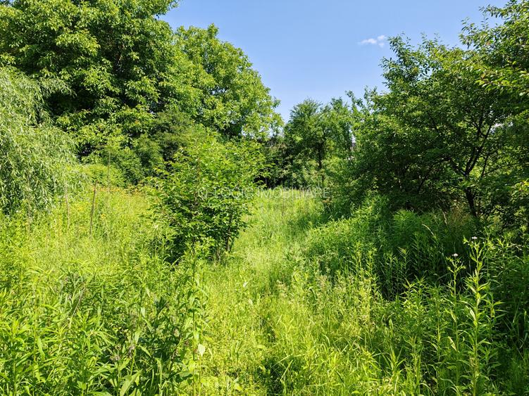 Casa 6 camere libera la vanzare zona Bartolomeu - 32